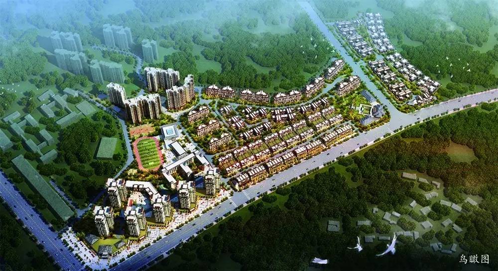 成都三圣乡最新项目，重塑乡村魅力，引领都市新生活