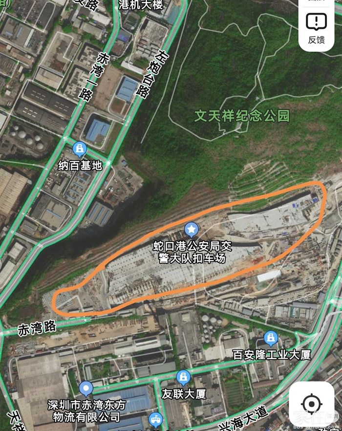 深赤湾a最新消息