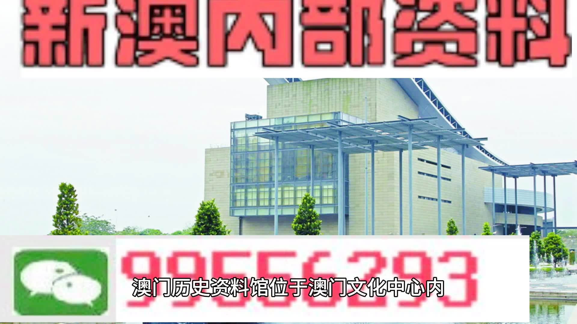 新澳门资料免费长期公开,2024|精选资料解析大全