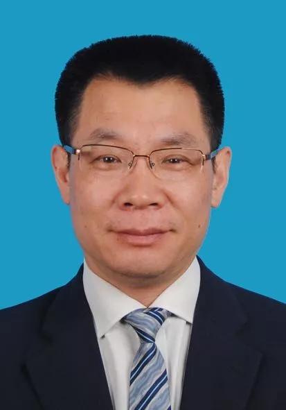 2024新奥免费资料|精选资料解析大全