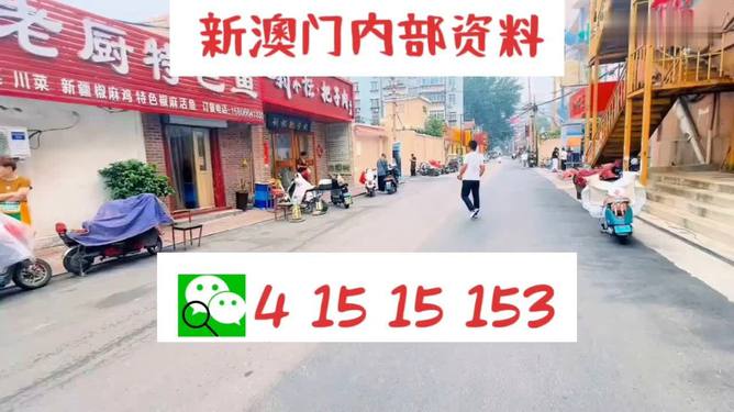 2024新版澳门天天开好彩大全|精选资料解析大全
