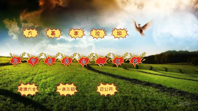 新澳门彩4949最新开奖记录|精选资料解析大全