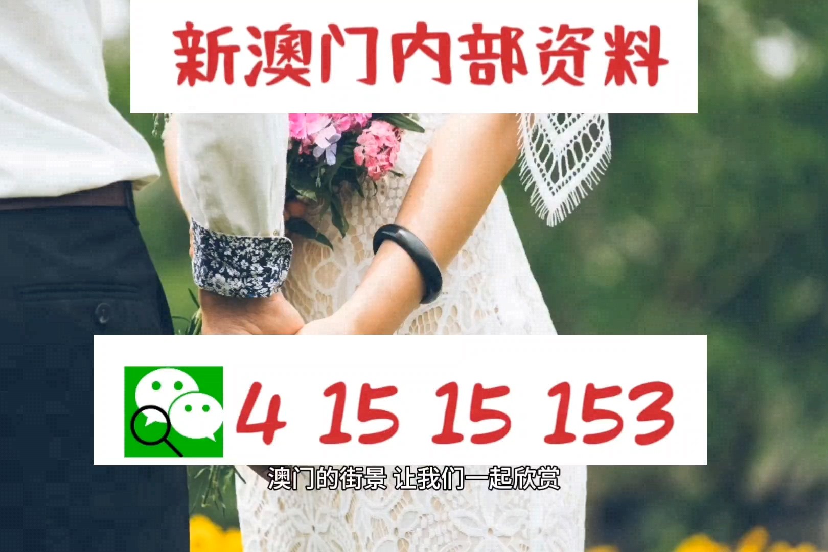 2024今晚澳门开特马|精选资料解析大全