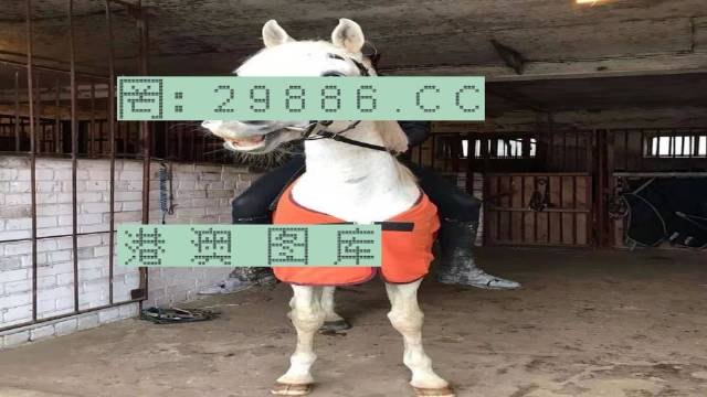 7777788888新版跑狗 管家婆|精选资料解析大全
