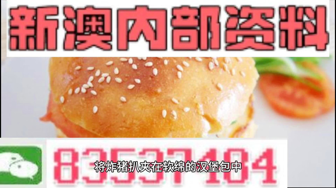 新澳2024年精准正版资料|精选资料解析大全