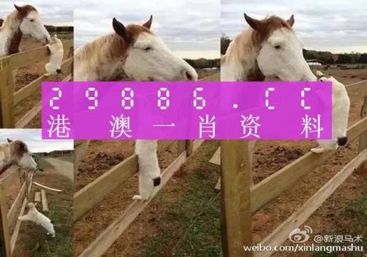香港特马资料王中王|精选资料解析大全