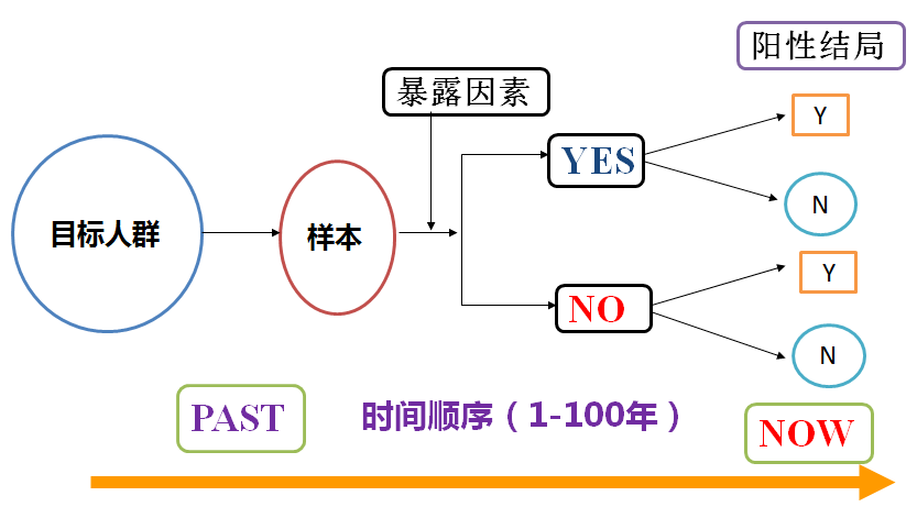 2024年新奥门天天开彩|精选资料解析大全