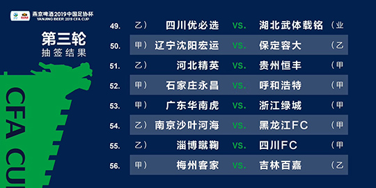 2024澳家婆一肖一特|精选资料解析大全