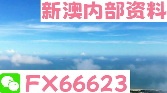 新澳内部资料免费精准37b|精选资料解析大全