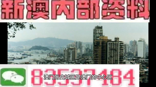 新澳门资料免费精准|精选资料解析大全