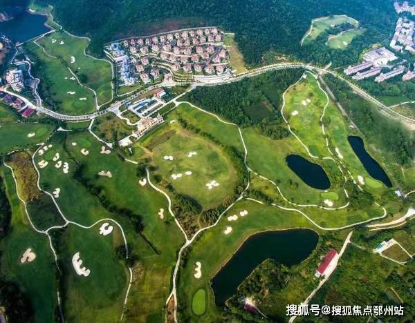澳门今晚必开一肖一特|精选资料解析大全