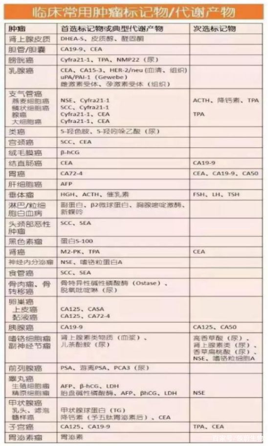 澳门最准的公开资料|精选资料解析大全
