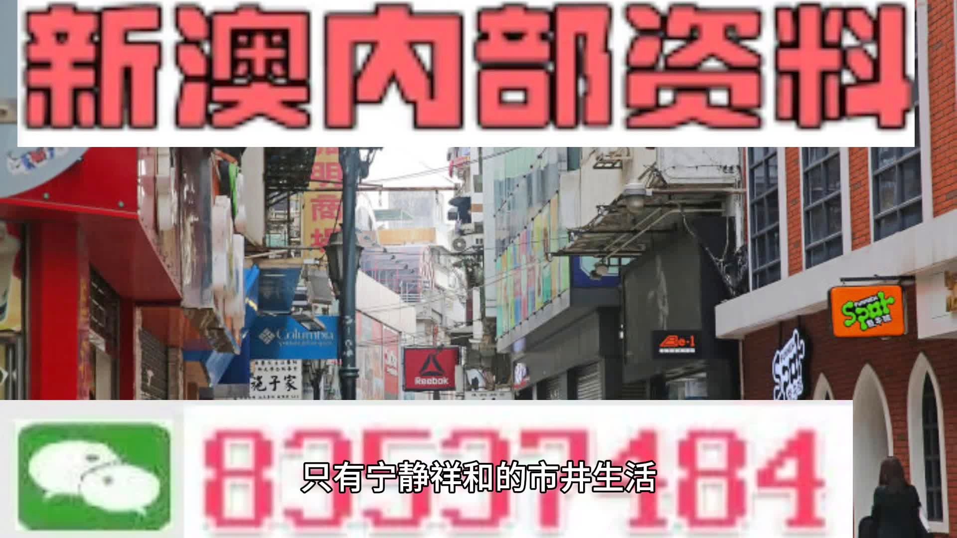 新澳门资料免费资料|精选资料解析大全
