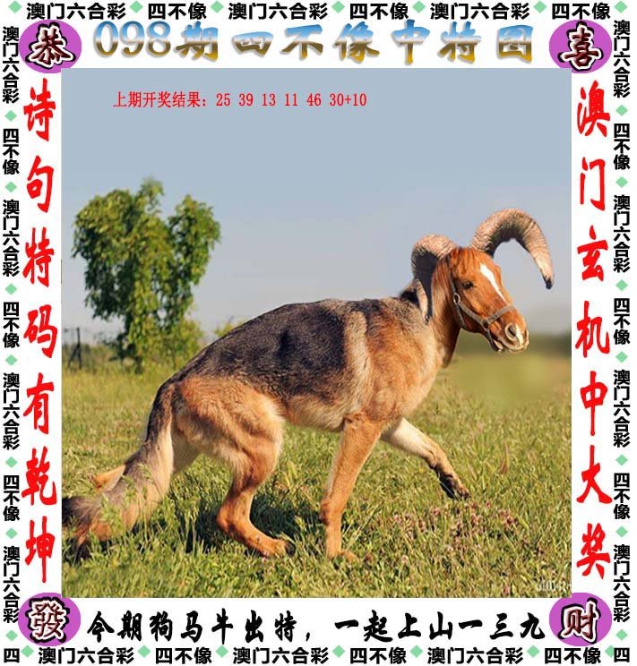 百科 第259页