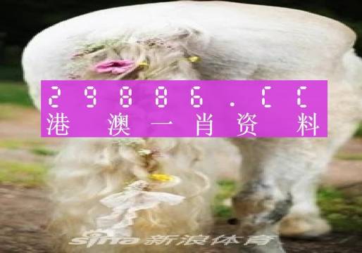 22324濠江论坛一肖一码|精选资料解析大全