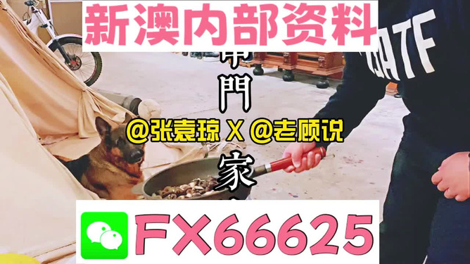 新澳门精准资料大全管家婆料|精选资料解析大全