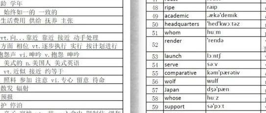2024英语四级最新词汇