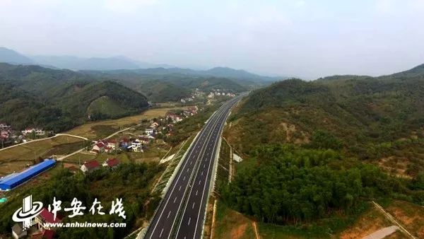 新闻 第239页