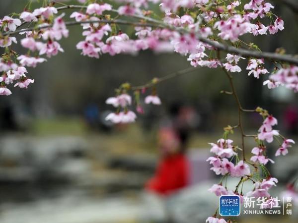 百科 第240页