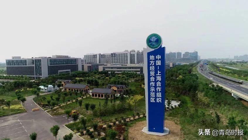百科 第231页