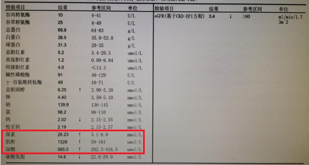 血肌酐正常值最新标准2022