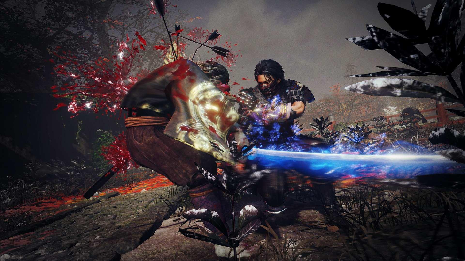 ps4仁王最新视解说中文
