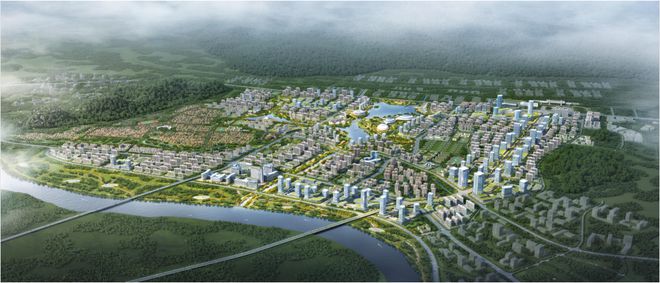 焦点 第209页