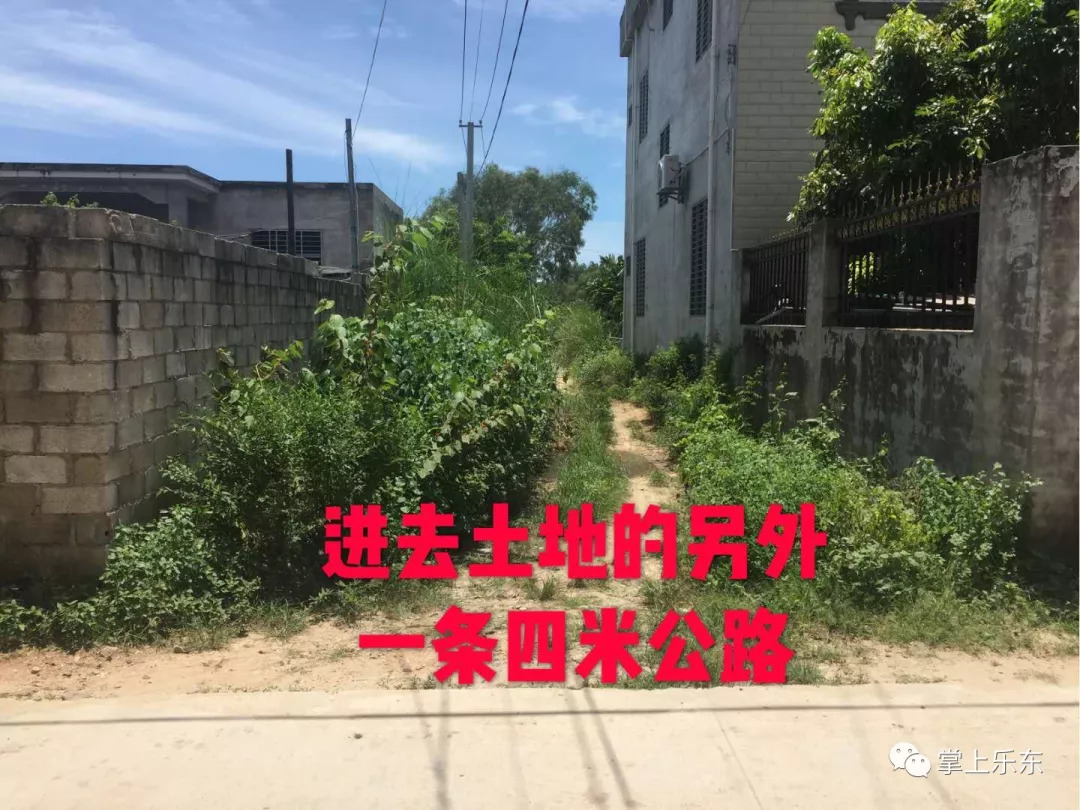 新闻 第203页
