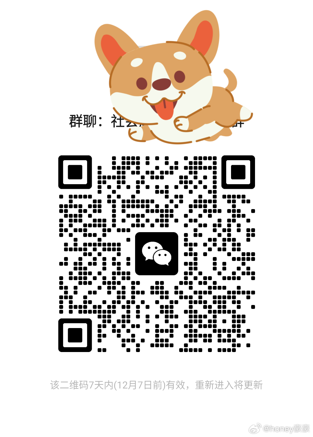 最新狗狗微信群二维码