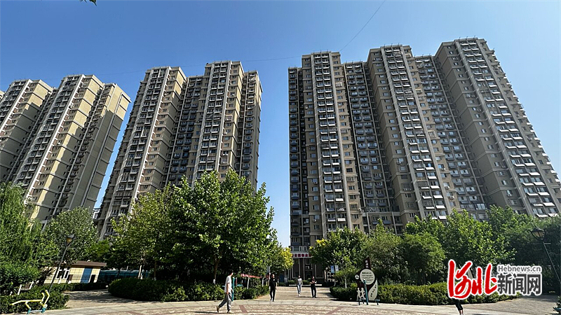 新闻 第185页