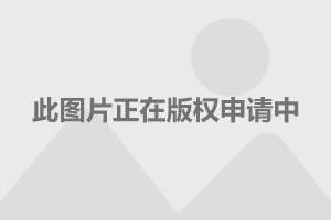 新闻 第182页