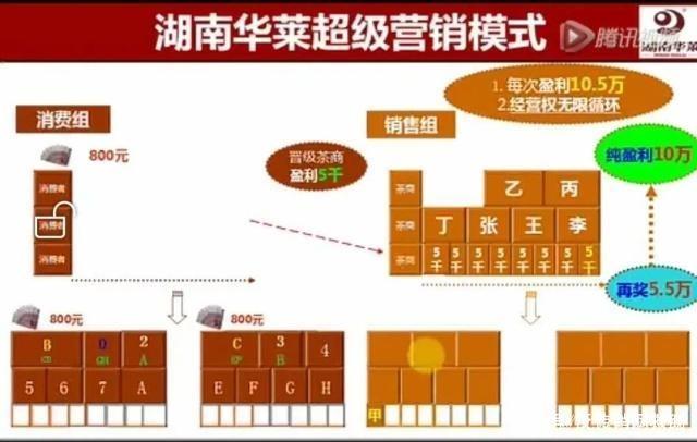 华莱黑茶最新奖金制度