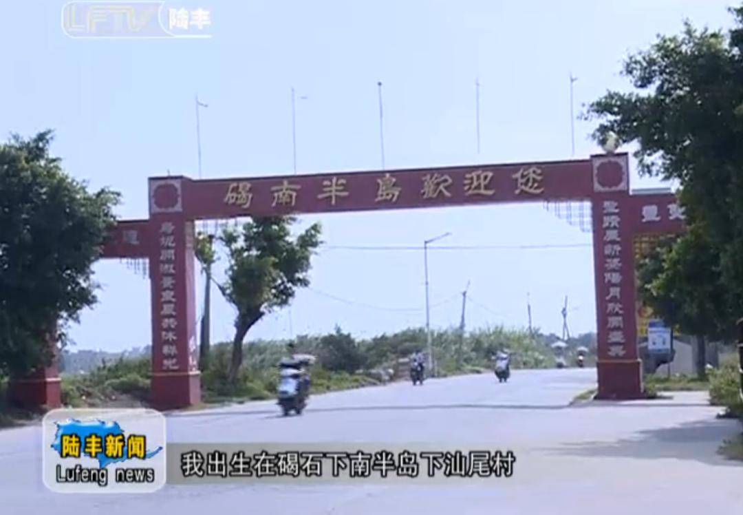 陆丰乌坎最新消息微博
