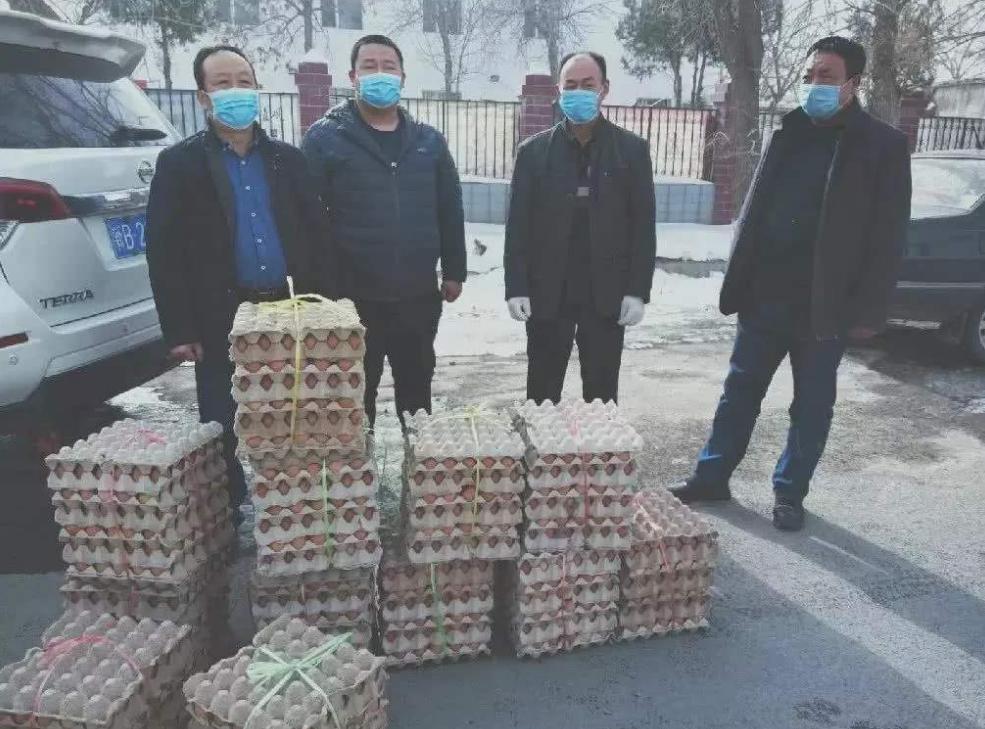 肉毛鸡价格最新行情走势