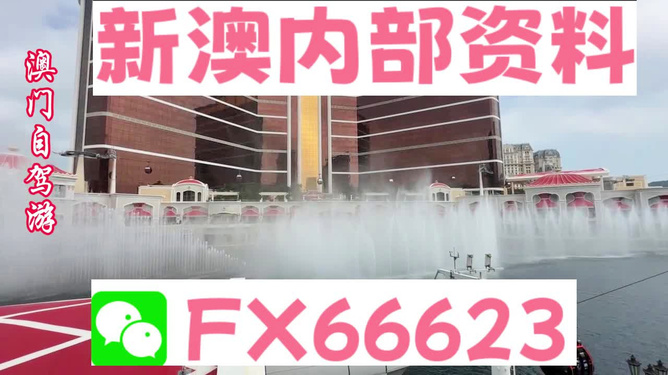 新澳内部一码精准公开,新澳内部一码精准公开，揭秘背后的秘密与真相
