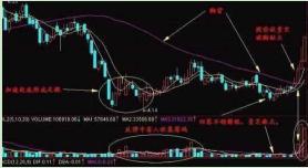 精准一肖100%准确精准的含义,精准一肖，揭秘百分之百准确预测之神秘面纱