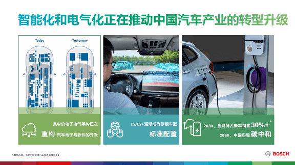2025十二生肖49个码,揭秘2025年十二生肖与数字49的神奇联系