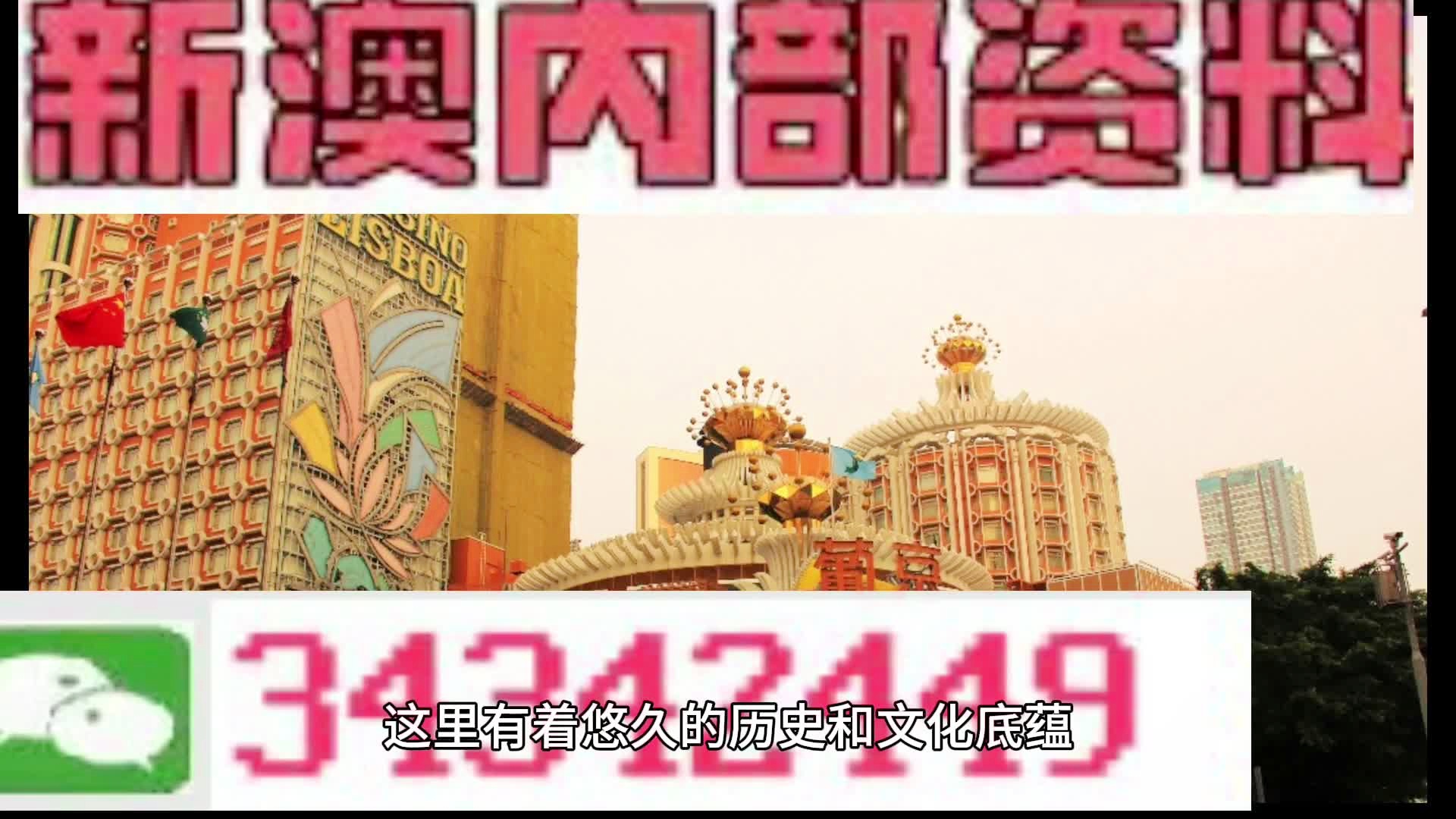 新澳门免费资料大全在线查看,新澳门免费资料大全在线查看，探索与发现