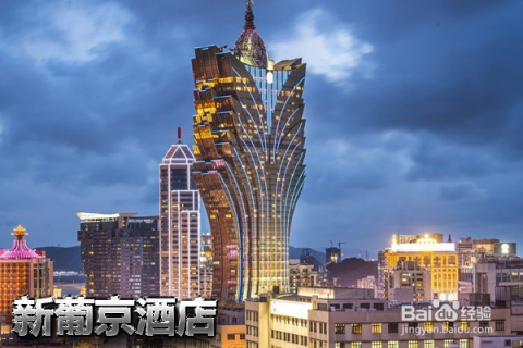 澳门最快最精准免费大全,澳门最快最精准免费大全指南