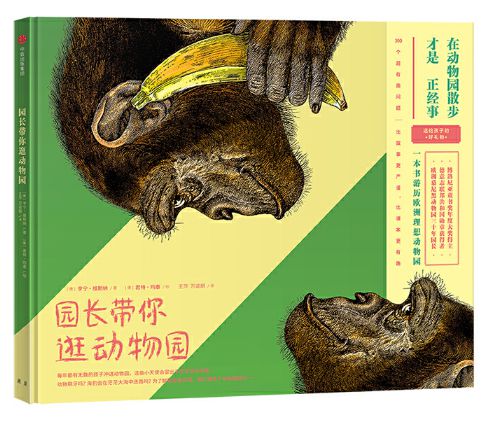 今期四不像图今晚,今期四不像图，探索艺术的神秘面纱与无限可能