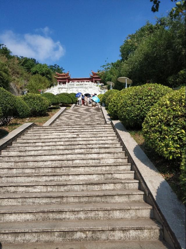百科 第151页