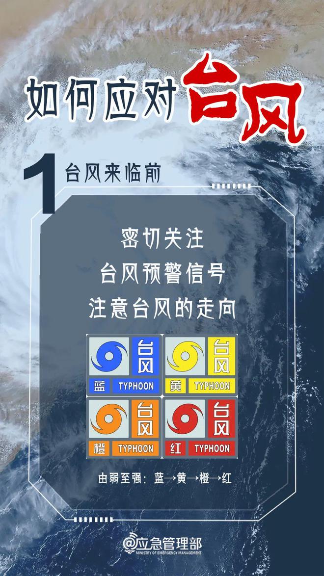 今晚澳门必中三肖三,今晚澳门必中三肖三，探索幸运与命运的神秘面纱