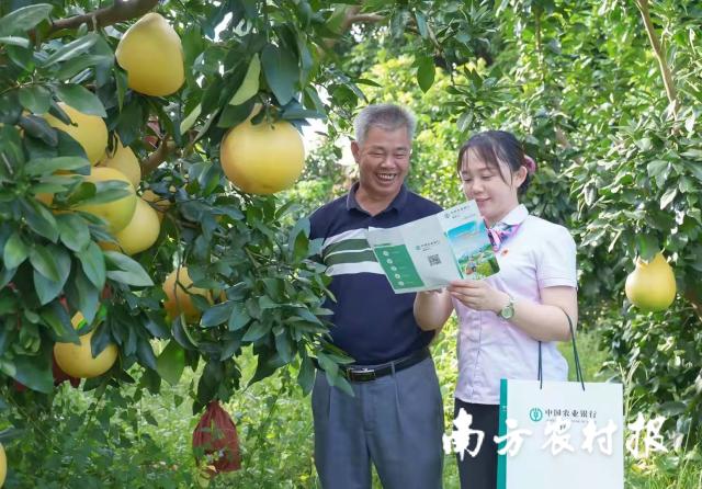 2025年正版资料免费大全最新版本更新时间,2025正版资料免费大全，最新版本的更新时间与获取策略