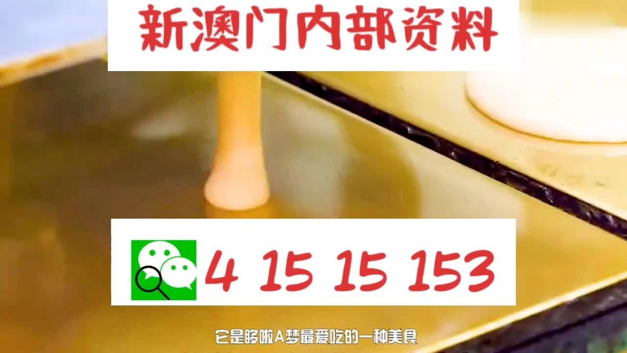 新澳门天天开好彩大全,新澳门天天开好彩大全，探索彩票的魅力与希望