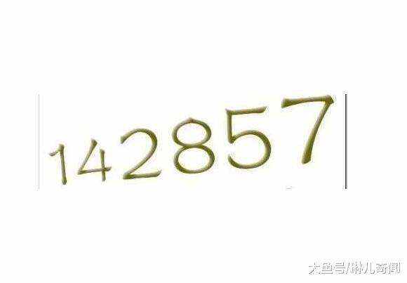 7777788888一肖一码,探索神秘数字组合，777778与88888一肖一码的魅力