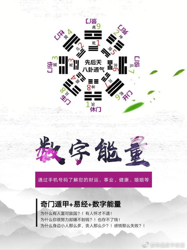 7777788888精准一肖,揭秘精准预测，神秘数字组合77777与88888引领一肖探秘之旅