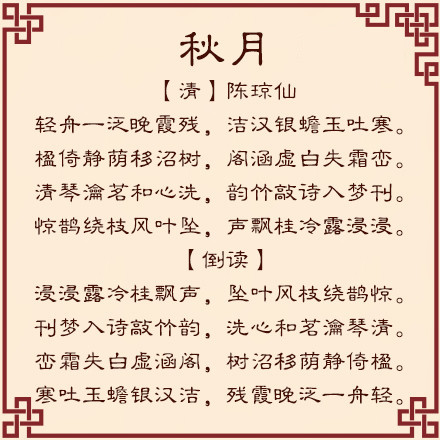 白小姐449999精准一句诗,白小姐449999精准一句诗的魅力与诗意探寻