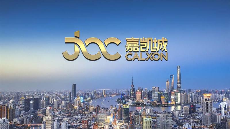 2025新澳门资料大全123期,澳门未来展望，2025新澳门资料大全（第123期）