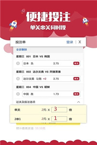 澳门六开奖结果资料查询澳,澳门六开奖结果资料查询与深度解读