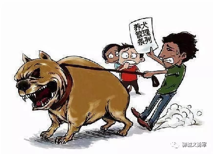 2025正版四不像图解特肖下载,探索正版四不像图解特肖，一场关于生肖文化的深度解读与体验